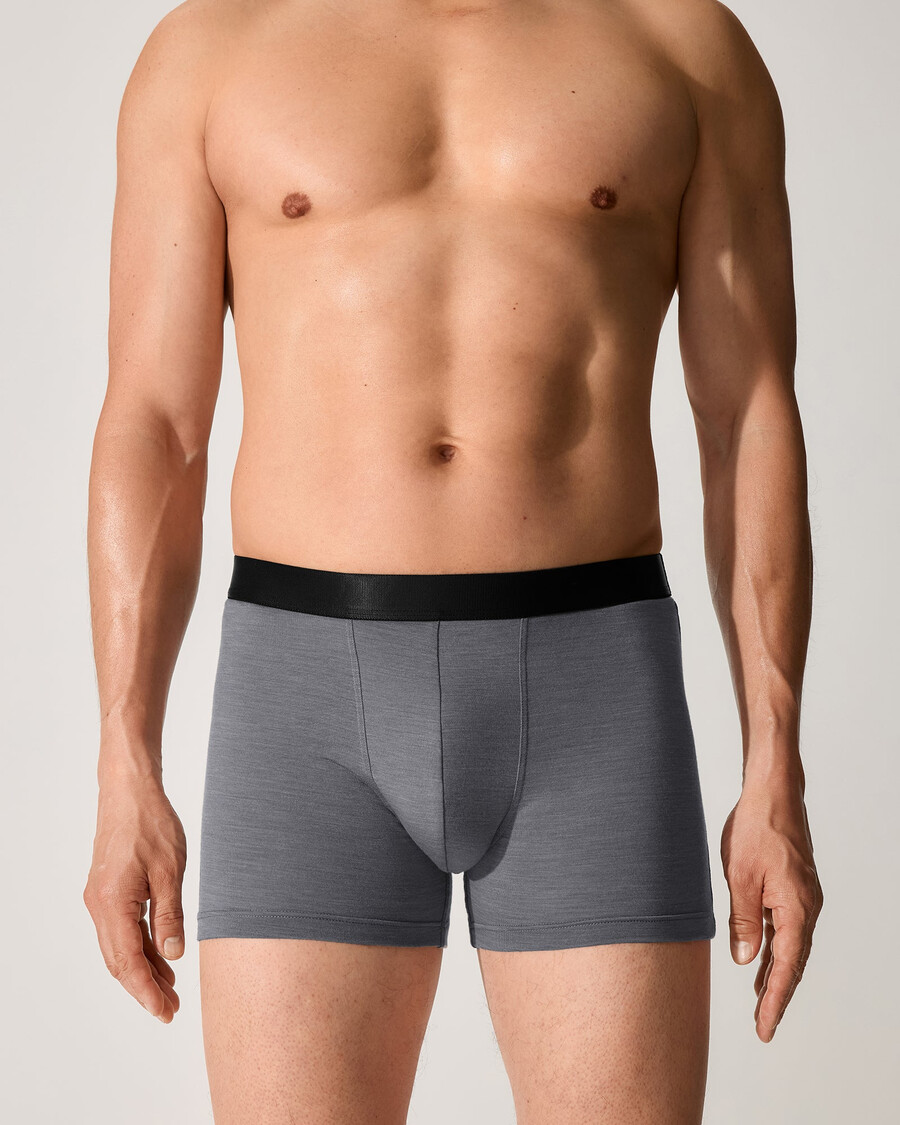 3 × mens merino blend boxer brief in grey melange shop now — cdlp