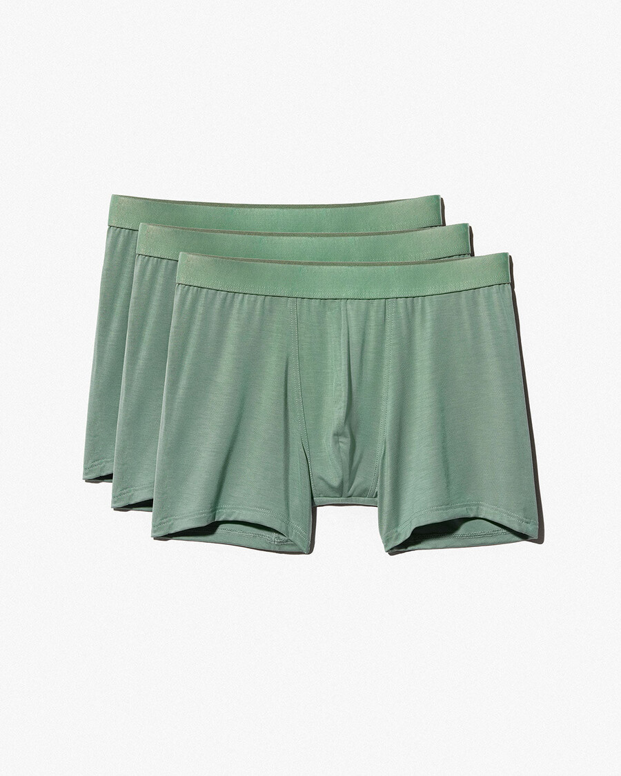 12 × mens boxer brief in sage shop now — cdlp
