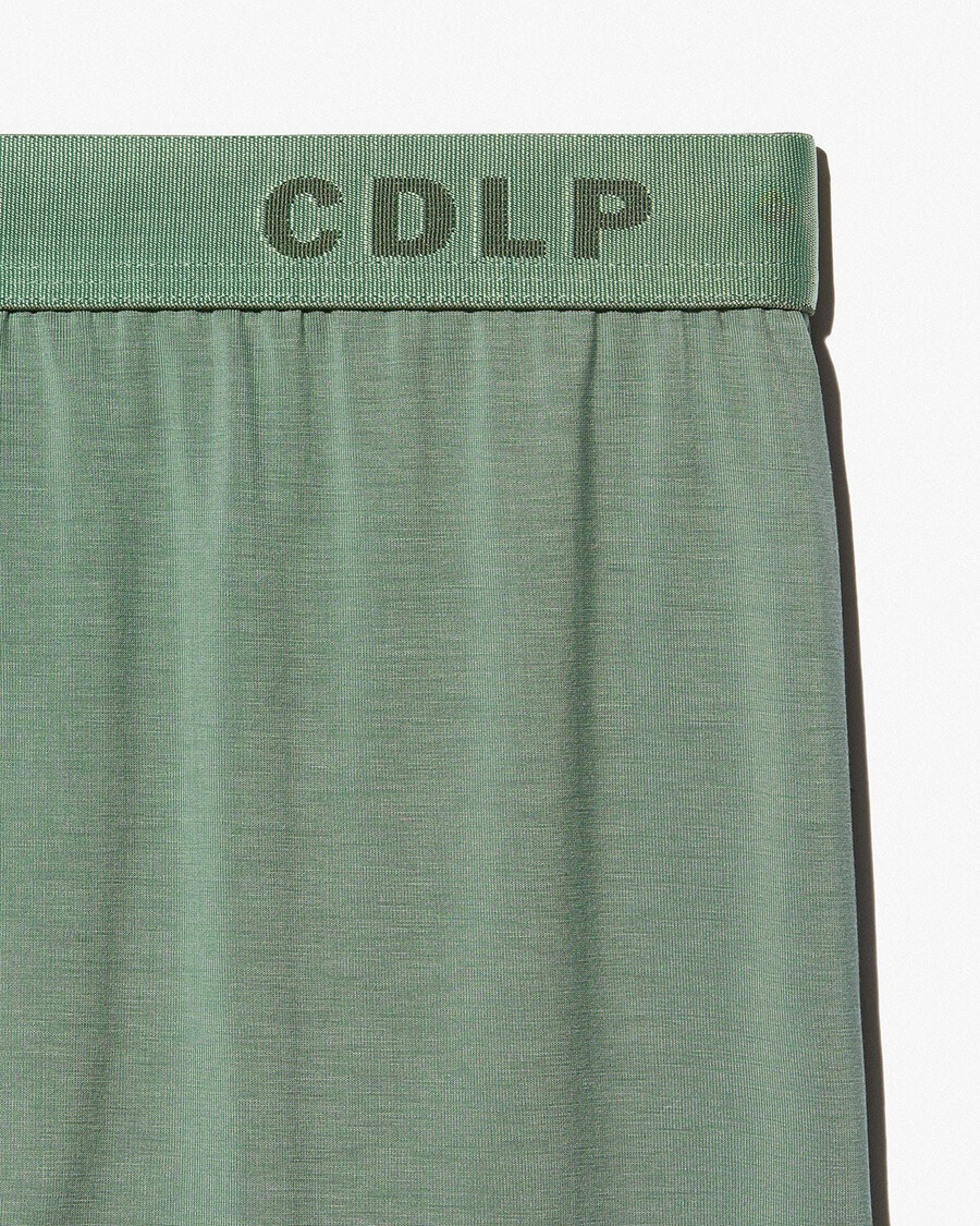 12 × mens boxer brief in sage shop now — cdlp