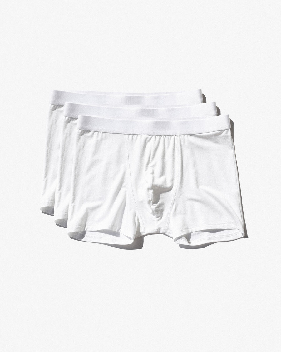 12 × mens boxer brief in white shop now — cdlp