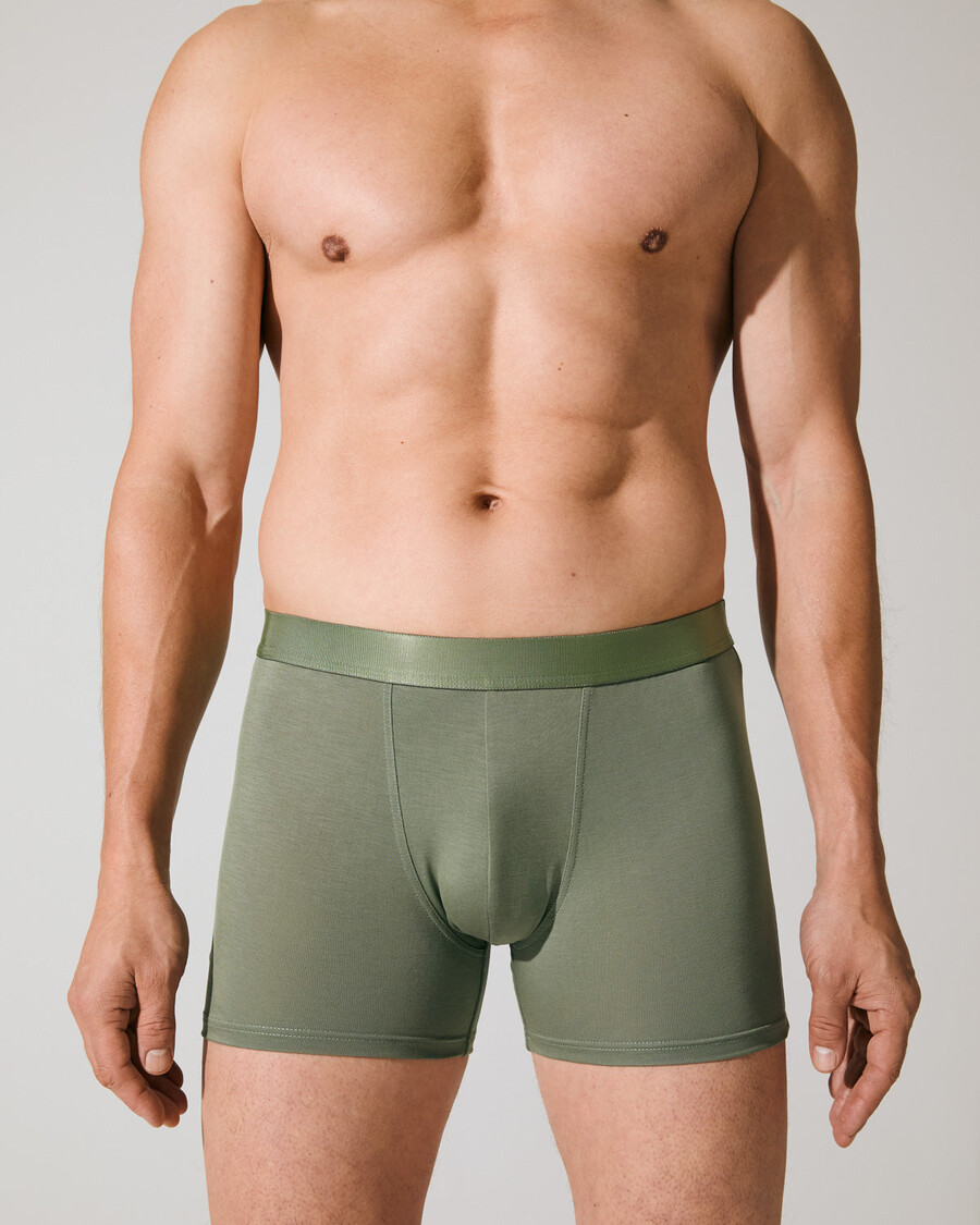 12 × mens boxer brief in black white sage shop now — cdlp