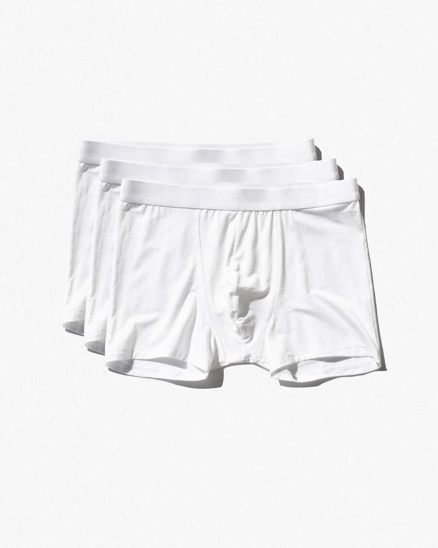 3 × mens boxer brief in white shop now — cdlp