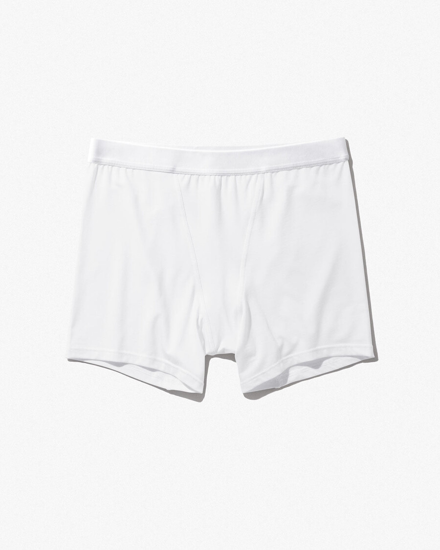 womens boxer brief in white shop now — cdlp