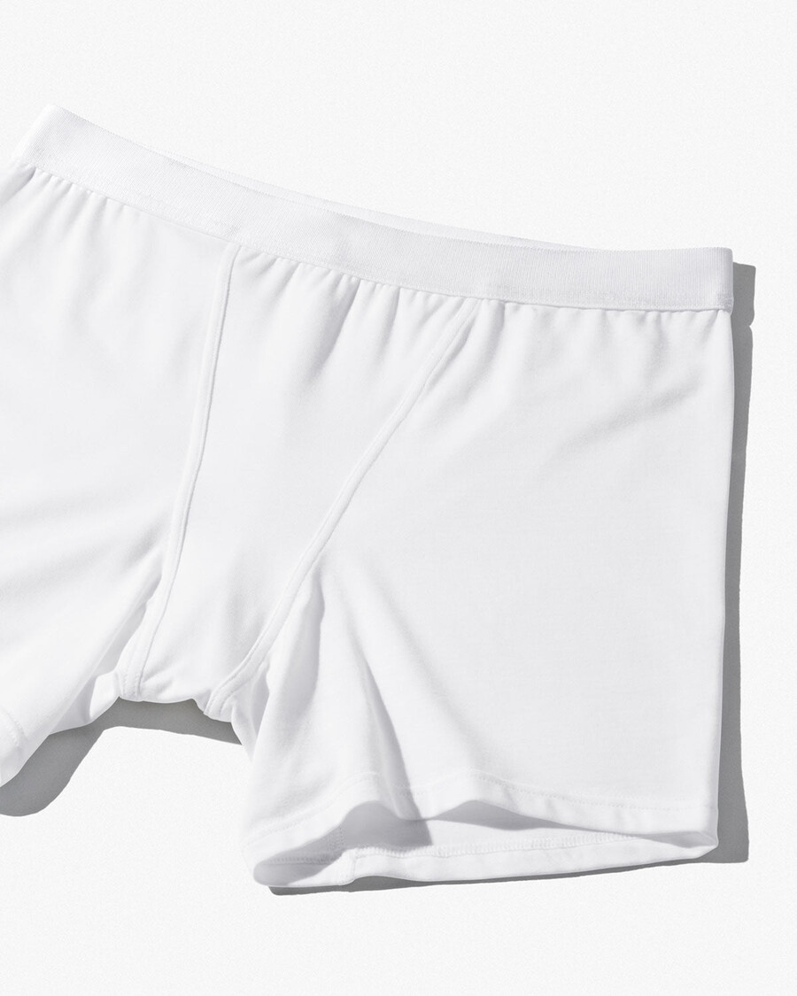 womens boxer brief in white shop now — cdlp