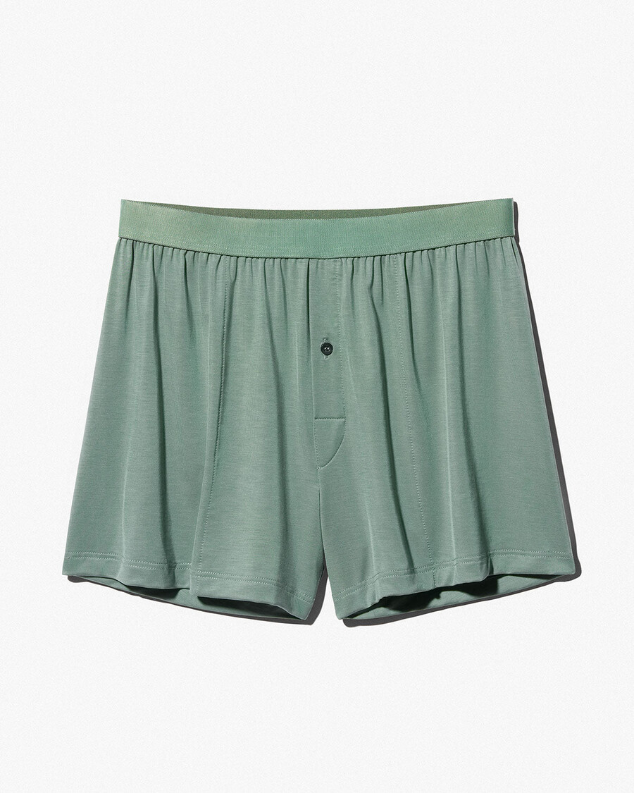 mens boxer shorts in sage shop now — cdlp