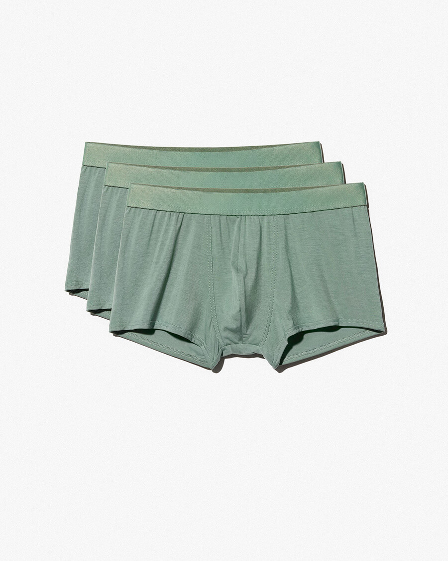 3 × mens boxer trunk in sage shop now — cdlp