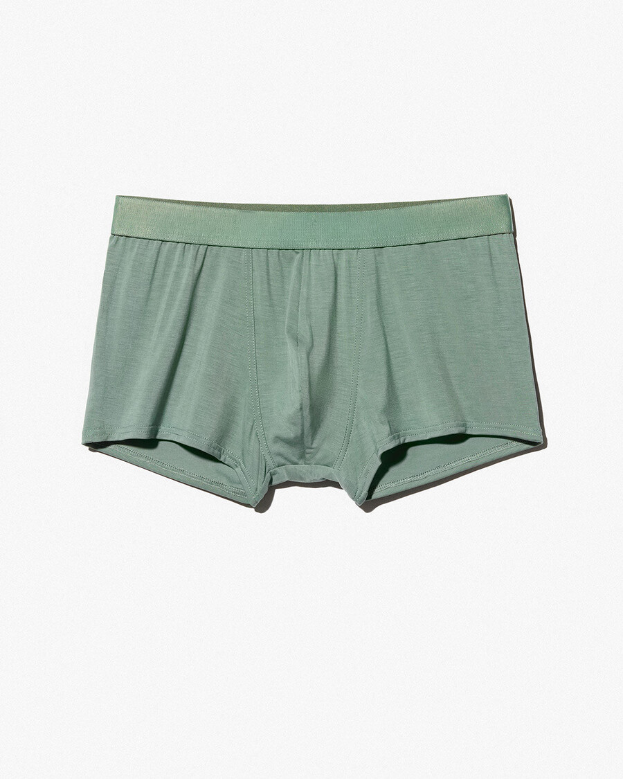 mens boxer trunk in sage shop now — cdlp