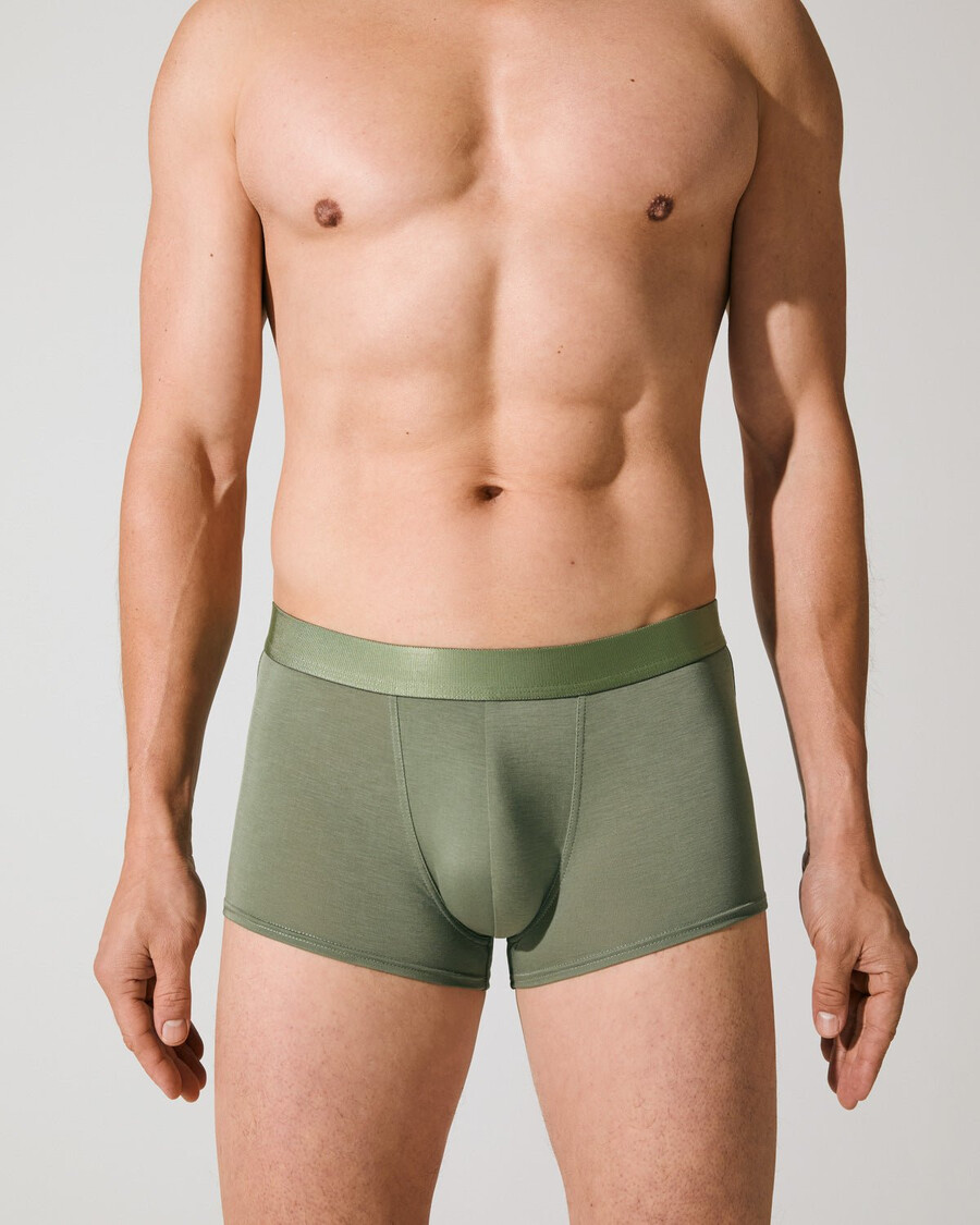 mens boxer trunk in sage shop now — cdlp