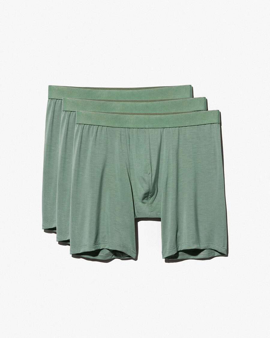 12 × mens boxer brief long in sage shop now — cdlp
