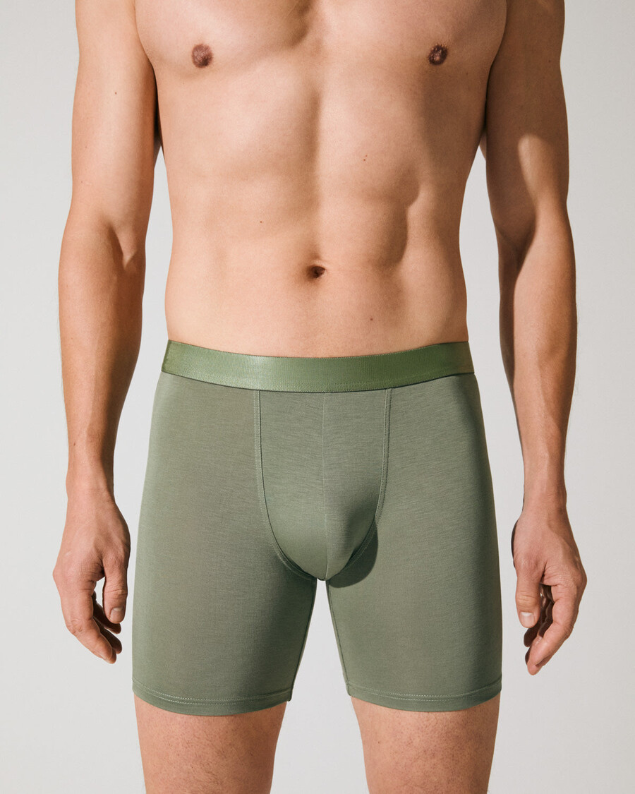 12 × mens boxer brief long in sage shop now — cdlp