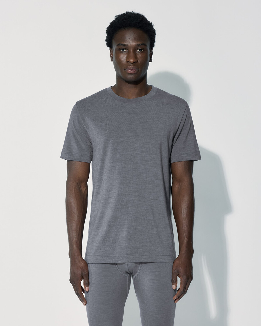 mens merino blend t-shirt in grey melange shop now — cdlp