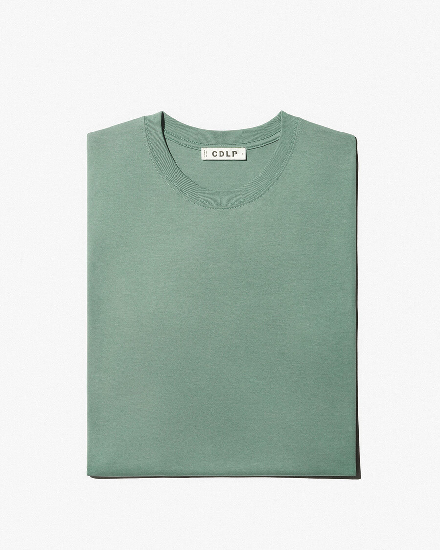 2 x mens midweight t-shirt in black sage shop—cdlp